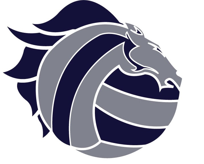 reagan volleyball logo